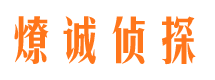 天全市场调查